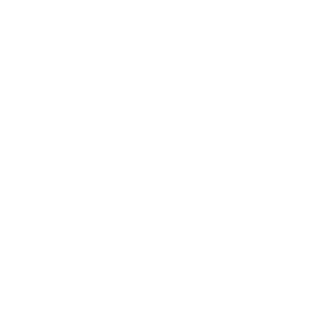 Barnes International Realty